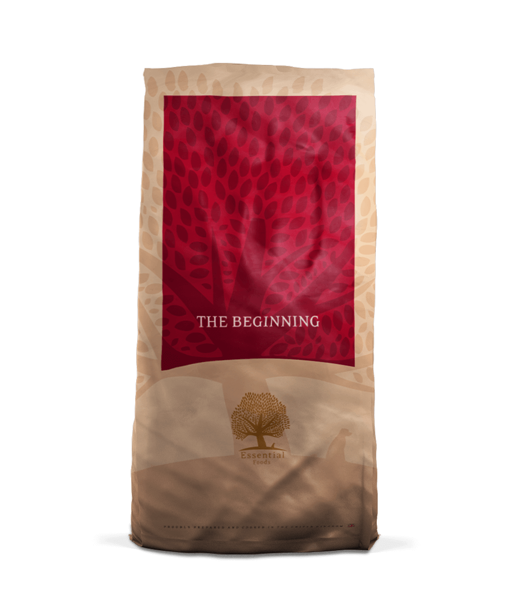 1015_SMALL BREED the BEGINNING_Корм для щенков малых пород Essential Foods The Beginning – Сухой беззерновой 100% натуральный корм для щенков и юниоров, сухой корм для щенков_корм для щенка_корм для щенят_сухой корм для щенка_сухой корм стартер_сухой корм для щенков малых пород