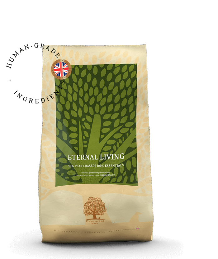 essential foods eternal living